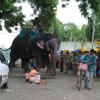 An elephant outside the Mahakaleshawar temple - Ujjain