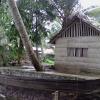 Wooden House Near Vembanad Lake