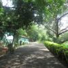 A Way to Zoo in Vellayambalam, Thiruvananthapuram