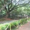 A View at Zoo, Thiruvananthapuram