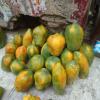 Papaya Waiting to Sale in Vellore Market