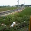 Curved Railway Track amidst greenery at Villupuram