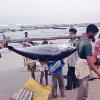 Fishermen in Visakhapatnam