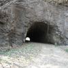 Cave way found at wayanad