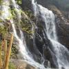 Nature Falls at Wayanad - Kerala