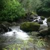 Water Flowing From the Forest, Wayanad