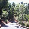Beautiful Road in Yercaud